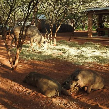 462 Bosbok Chalets Marloth Park Kültér fotó