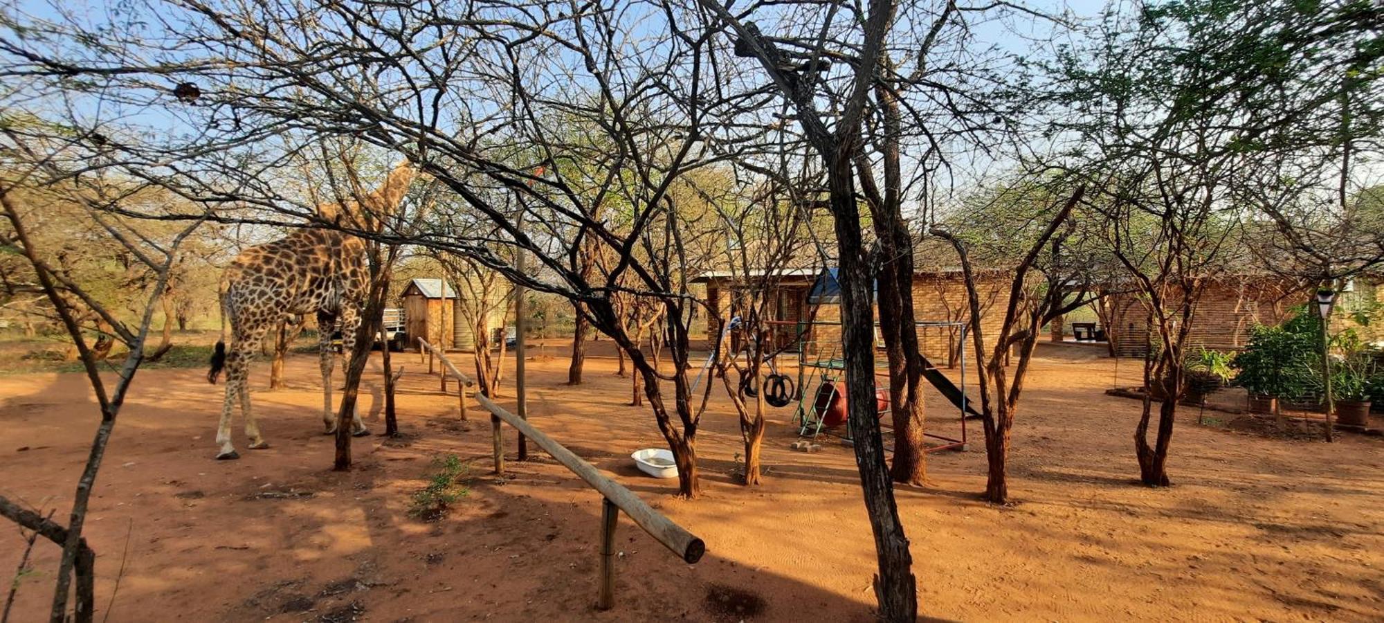 462 Bosbok Chalets Marloth Park Kültér fotó